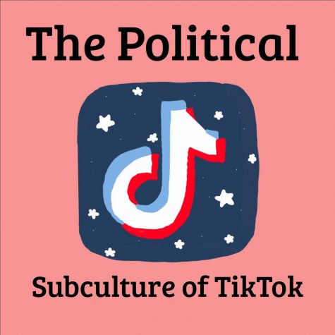 A Look Inside TikToks Political Subculture