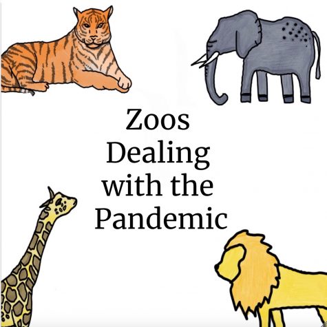 How California Zoos Are Dealing With the Pandemic