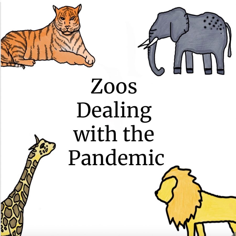 How+California+Zoos+Are+Dealing+With+the+Pandemic