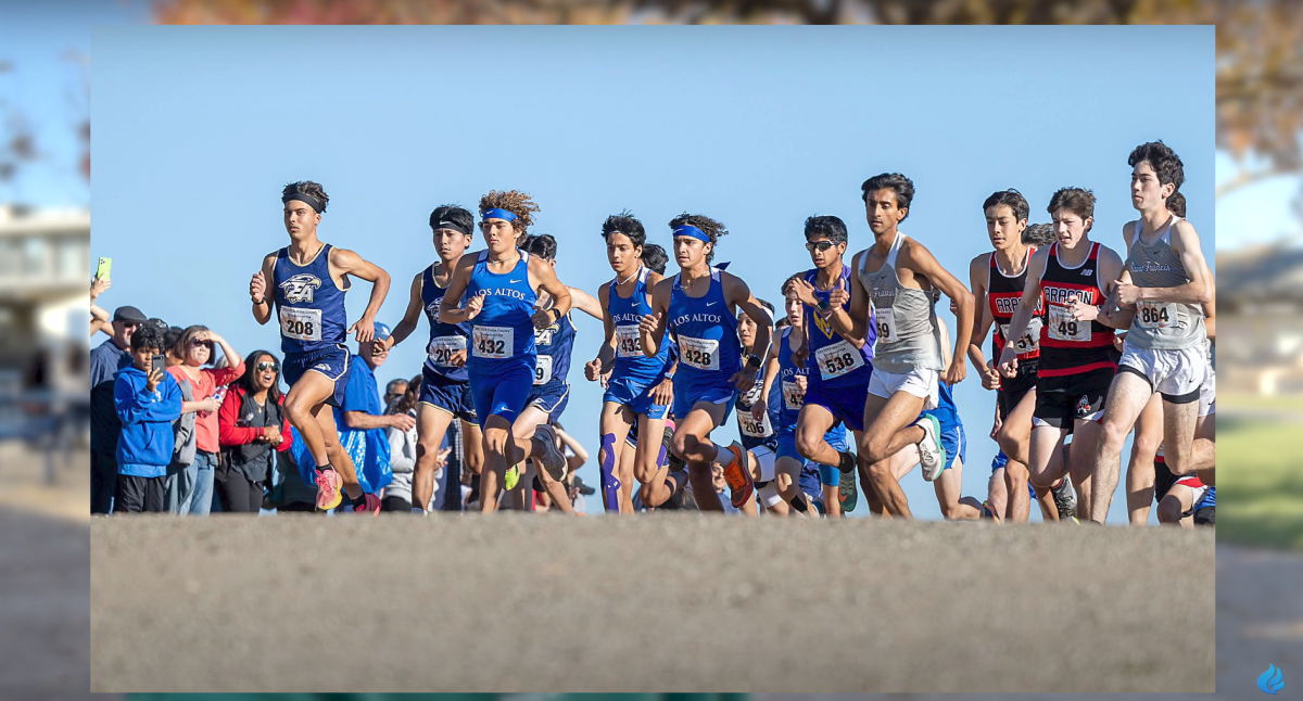 Boys Cross-Country Team